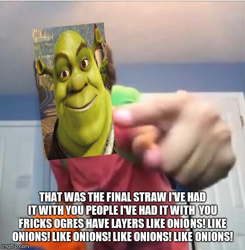 SammyClassicSonicFan Pointing at the camera | THAT WAS THE FINAL STRAW I'VE HAD IT WITH YOU PEOPLE I'VE HAD IT WITH  YOU FRICKS OGRES HAVE LAYERS LIKE ONIONS! LIKE ONIONS! LIKE ONIONS! LIKE ONIONS! LIKE ONIONS! | image tagged in sammyclassicsonicfan pointing at the camera | made w/ Imgflip meme maker