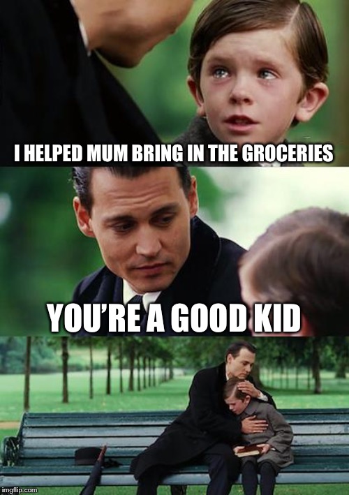 Finding Neverland Meme | I HELPED MUM BRING IN THE GROCERIES YOU’RE A GOOD KID | image tagged in memes,finding neverland | made w/ Imgflip meme maker