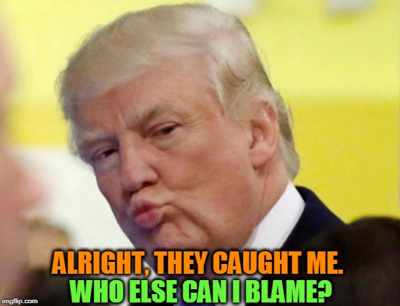 Think fast, Donnie. | ALRIGHT, THEY CAUGHT ME. WHO ELSE CAN I BLAME? | image tagged in rule thirty four,caught,blame,alibi,fall guy,patsy | made w/ Imgflip meme maker