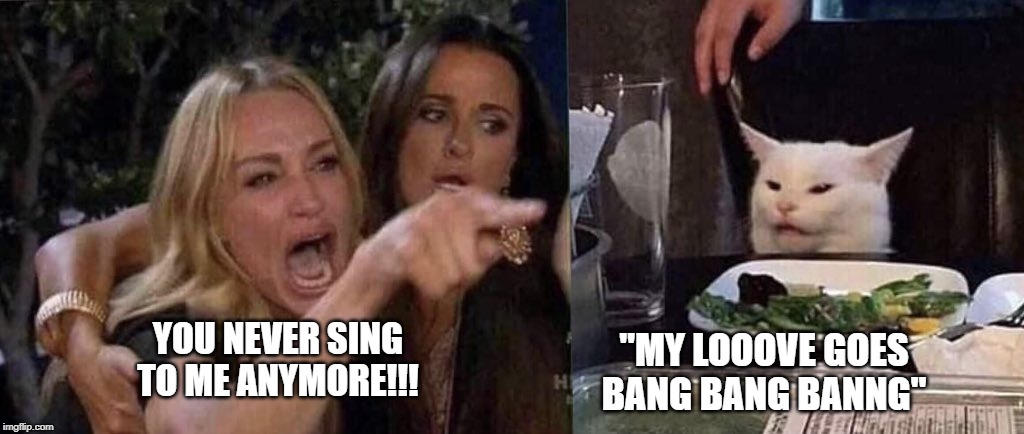 woman yelling at cat | YOU NEVER SING TO ME ANYMORE!!! "MY LOOOVE GOES BANG BANG BANNG" | image tagged in woman yelling at cat | made w/ Imgflip meme maker