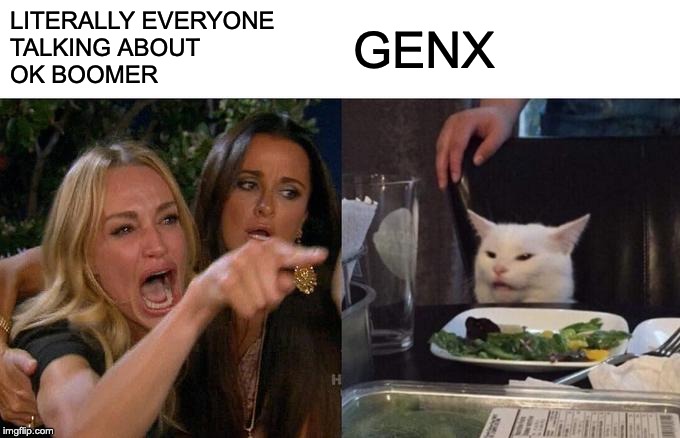 Woman Yelling At Cat Meme | LITERALLY EVERYONE
TALKING ABOUT 
OK BOOMER; GENX | image tagged in memes,woman yelling at cat | made w/ Imgflip meme maker