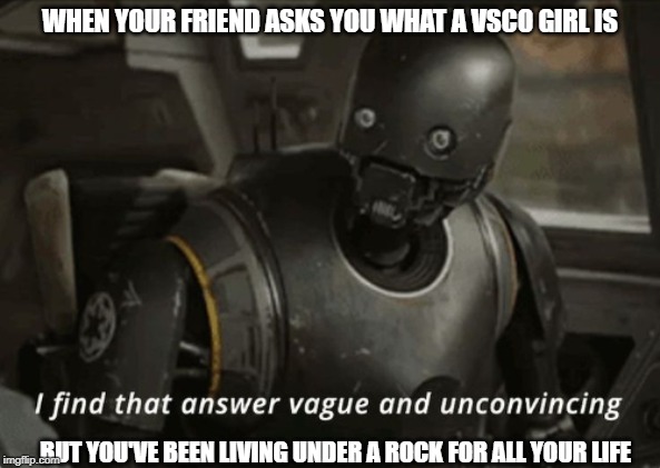 I find that answer vague and unconvincing | WHEN YOUR FRIEND ASKS YOU WHAT A VSCO GIRL IS; BUT YOU'VE BEEN LIVING UNDER A ROCK FOR ALL YOUR LIFE | image tagged in i find that answer vague and unconvincing,starwars | made w/ Imgflip meme maker