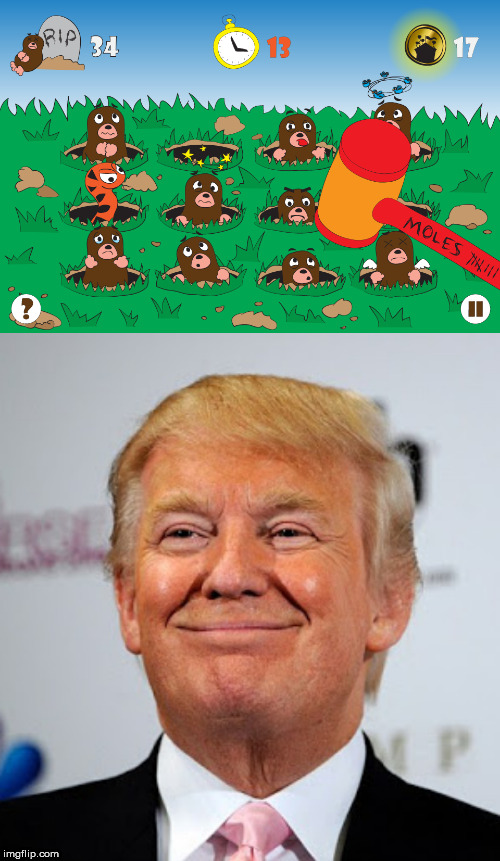 image tagged in donald trump approves,mole | made w/ Imgflip meme maker