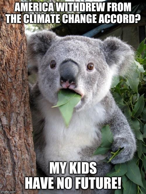 Surprised Koala | AMERICA WITHDREW FROM THE CLIMATE CHANGE ACCORD? MY KIDS HAVE NO FUTURE! | image tagged in memes,surprised koala | made w/ Imgflip meme maker