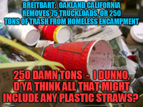 Is California liberalism hoist on its own contradictions again? | BREITBART:  OAKLAND CALIFORNIA REMOVES 75 TRUCKLOADS, OR 250 TONS OF TRASH FROM HOMELESS ENCAMPMENT; 250 DAMN TONS  -  I DUNNO, D'YA THINK ALL THAT MIGHT INCLUDE ANY PLASTIC STRAWS? | image tagged in liberalism,california,homeless,trash,plastic straws,environment | made w/ Imgflip meme maker