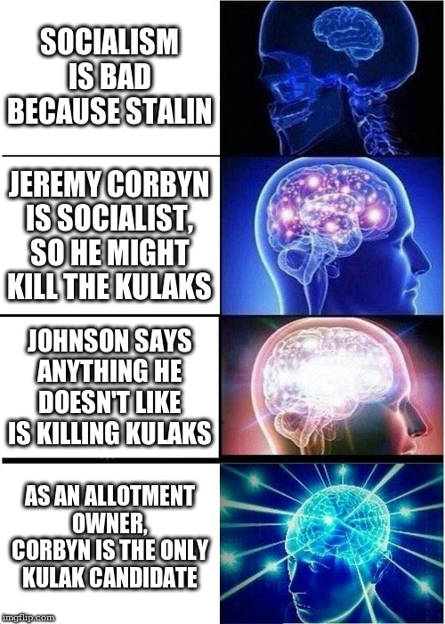 Expanding Brain Meme | SOCIALISM IS BAD BECAUSE STALIN; JEREMY CORBYN IS SOCIALIST, SO HE MIGHT KILL THE KULAKS; JOHNSON SAYS ANYTHING HE DOESN'T LIKE IS KILLING KULAKS; AS AN ALLOTMENT OWNER, CORBYN IS THE ONLY KULAK CANDIDATE | image tagged in memes,expanding brain | made w/ Imgflip meme maker