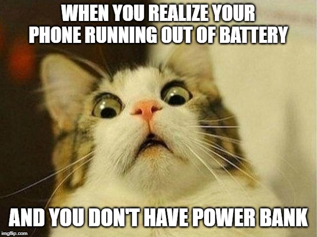 Scared Cat Meme | WHEN YOU REALIZE YOUR PHONE RUNNING OUT OF BATTERY; AND YOU DON'T HAVE POWER BANK | image tagged in memes,scared cat | made w/ Imgflip meme maker
