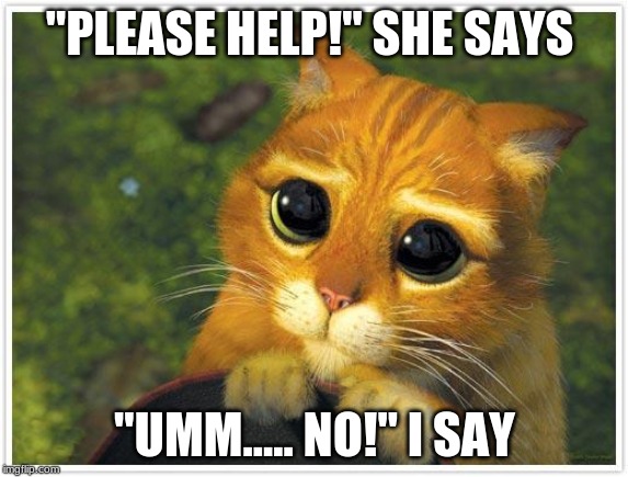 Shrek Cat | "PLEASE HELP!" SHE SAYS; "UMM..... NO!" I SAY | image tagged in memes,shrek cat | made w/ Imgflip meme maker