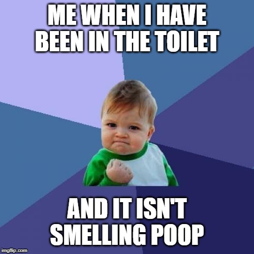 Success Kid Meme | ME WHEN I HAVE BEEN IN THE TOILET; AND IT ISN'T SMELLING POOP | image tagged in memes,success kid | made w/ Imgflip meme maker