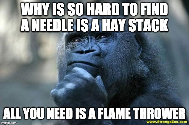 Deep Thoughts | WHY IS SO HARD TO FIND A NEEDLE IS A HAY STACK; ALL YOU NEED IS A FLAME THROWER | image tagged in deep thoughts | made w/ Imgflip meme maker