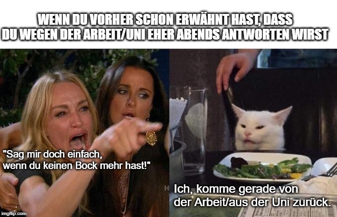 Woman Yelling At Cat Meme | WENN DU VORHER SCHON ERWÄHNT HAST, DASS DU WEGEN DER ARBEIT/UNI EHER ABENDS ANTWORTEN WIRST; "Sag mir doch einfach, wenn du keinen Bock mehr hast!"; Ich, komme gerade von der Arbeit/aus der Uni zurück. | image tagged in memes,woman yelling at cat | made w/ Imgflip meme maker