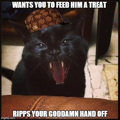 WANTS YOU TO FEED HIM A TREAT RIPPS YOUR GODDAMN HAND OFF | made w/ Imgflip meme maker