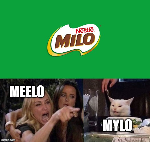 MEELO; MYLO | image tagged in woman yelling at cat | made w/ Imgflip meme maker