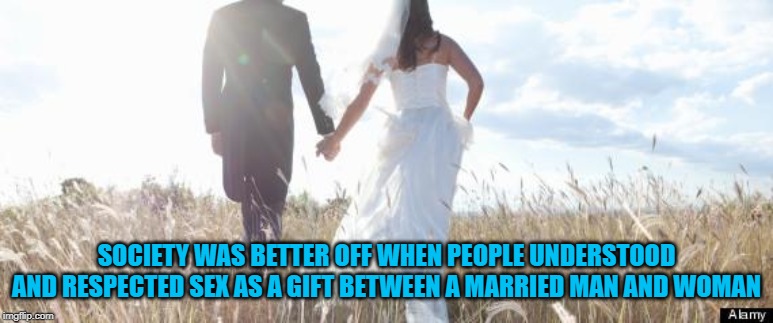 Marriage | SOCIETY WAS BETTER OFF WHEN PEOPLE UNDERSTOOD AND RESPECTED SEX AS A GIFT BETWEEN A MARRIED MAN AND WOMAN | image tagged in marriage | made w/ Imgflip meme maker