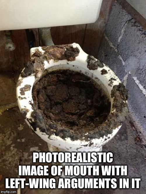 This is literally the image leftists invoke as soon as they speak. I just can't help myself. | PHOTOREALISTIC IMAGE OF MOUTH WITH LEFT-WING ARGUMENTS IN IT | image tagged in toilet,crap,argument,memes | made w/ Imgflip meme maker