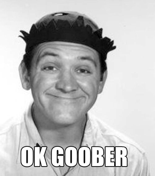 OK Goober | image tagged in ok boomer,george lindsey,goober | made w/ Imgflip meme maker