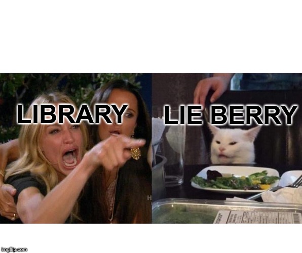 Woman Yelling At Cat Meme | LIBRARY; LIE BERRY | image tagged in memes,woman yelling at cat | made w/ Imgflip meme maker