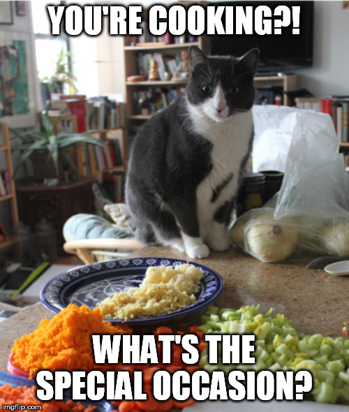 YOU'RE COOKING?! WHAT'S THE SPECIAL OCCASION? | made w/ Imgflip meme maker