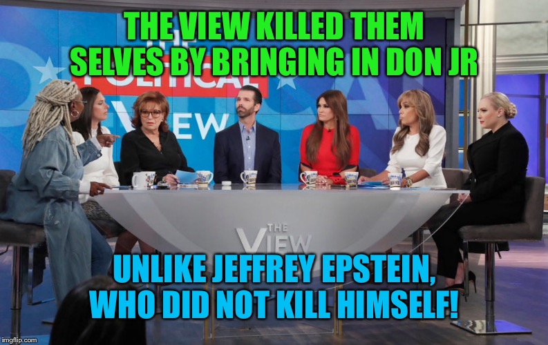 “The View” Should change their name to “Our View” | THE VIEW KILLED THEM SELVES BY BRINGING IN DON JR; UNLIKE JEFFREY EPSTEIN, WHO DID NOT KILL HIMSELF! | image tagged in the view,don jr,memes,politics | made w/ Imgflip meme maker