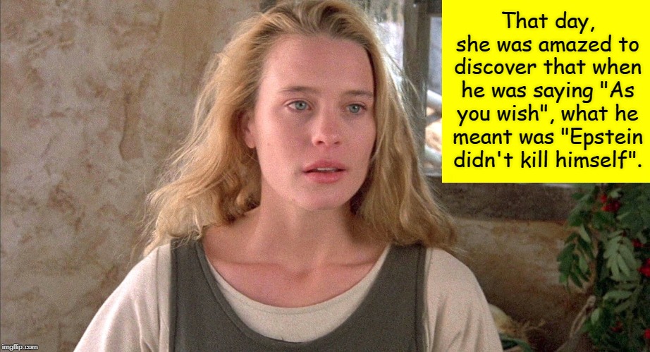 A Classic. :) | That day, she was amazed to discover that when he was saying "As you wish", what he meant was "Epstein didn't kill himself". | image tagged in buttercup,jeffrey epstein,the princess bride,memes | made w/ Imgflip meme maker