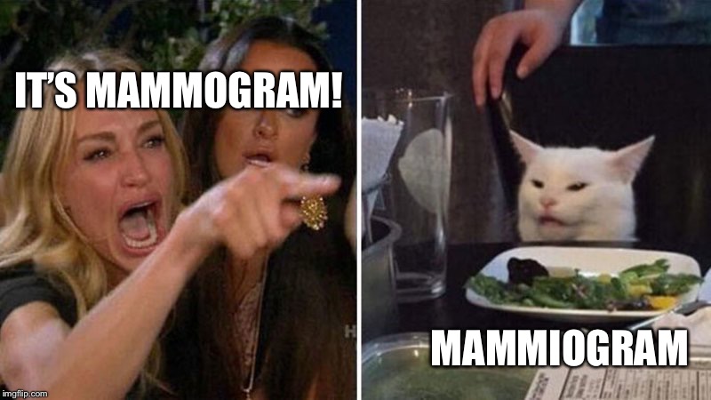Woman Argues With Cat | IT’S MAMMOGRAM! MAMMIOGRAM | image tagged in woman argues with cat | made w/ Imgflip meme maker