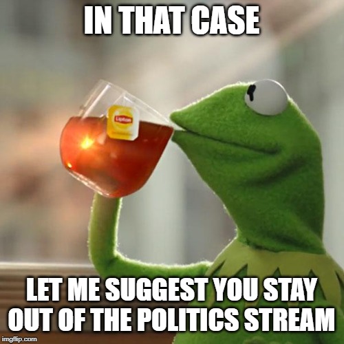 But That's None Of My Business Meme | IN THAT CASE LET ME SUGGEST YOU STAY OUT OF THE POLITICS STREAM | image tagged in memes,but thats none of my business,kermit the frog | made w/ Imgflip meme maker