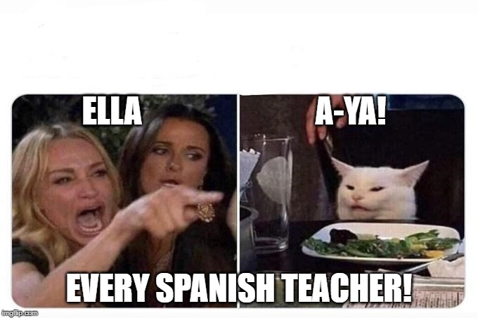 Woman shouting at cat | ELLA                            A-YA! EVERY SPANISH TEACHER! | image tagged in woman shouting at cat | made w/ Imgflip meme maker