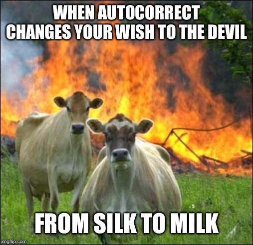 Evil Cows Meme | WHEN AUTOCORRECT CHANGES YOUR WISH TO THE DEVIL FROM SILK TO MILK | image tagged in memes,evil cows | made w/ Imgflip meme maker
