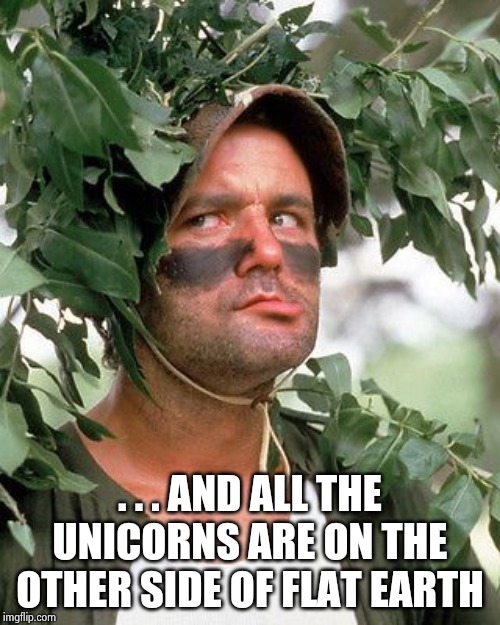 Bill Murray camouflaged | . . . AND ALL THE UNICORNS ARE ON THE OTHER SIDE OF FLAT EARTH | image tagged in bill murray camouflaged | made w/ Imgflip meme maker