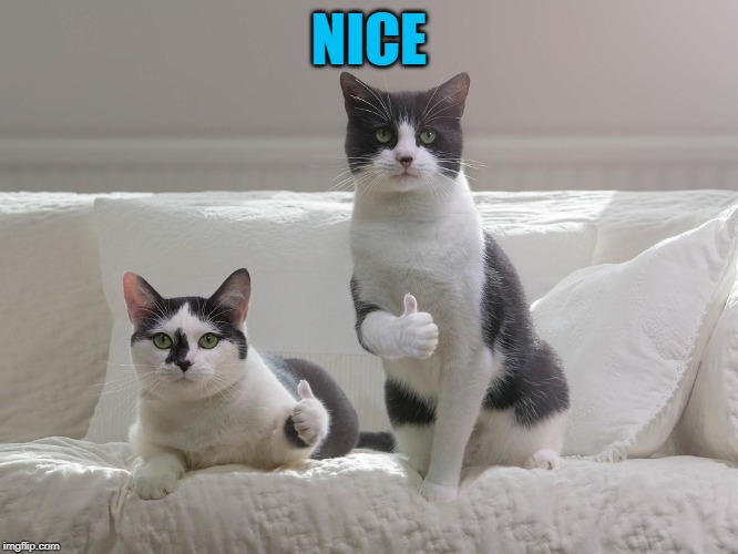 NICE | made w/ Imgflip meme maker