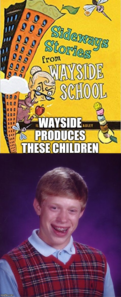 WAYSIDE PRODUCES THESE CHILDREN | image tagged in memes,bad luck brian | made w/ Imgflip meme maker