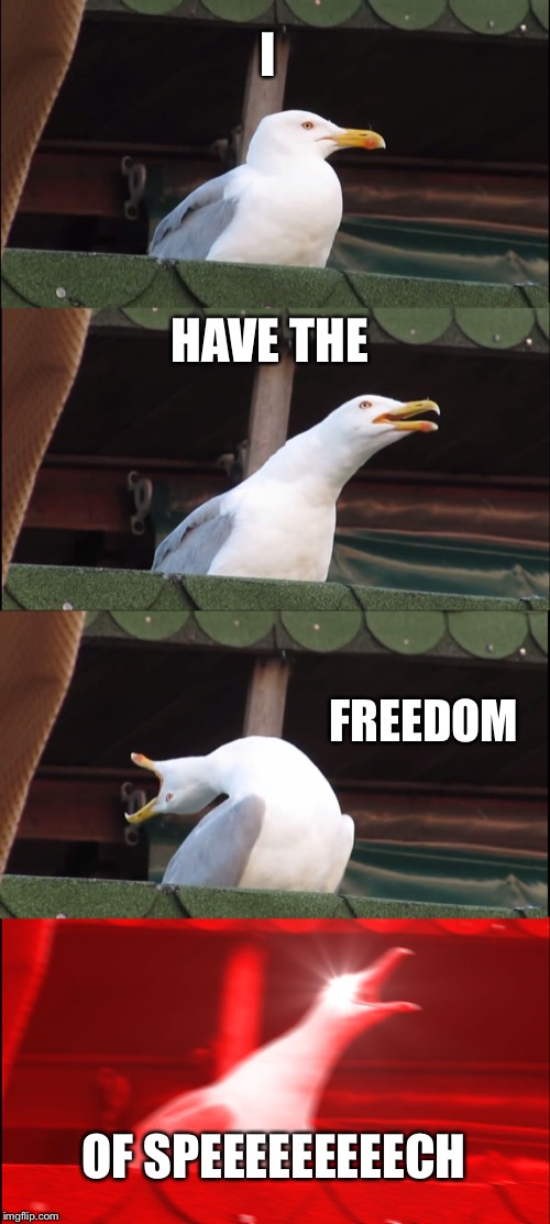 Inhaling Seagull Meme | I; HAVE THE; FREEDOM; OF SPEEEEEEEEECH | image tagged in memes,inhaling seagull | made w/ Imgflip meme maker