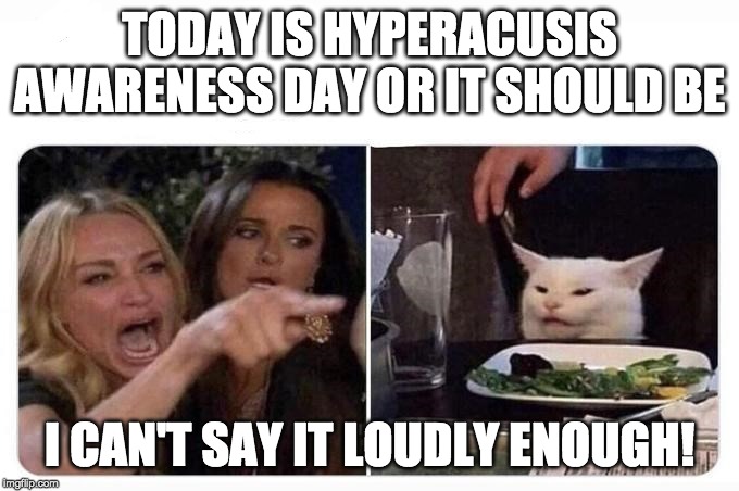 Woman shouting at cat | TODAY IS HYPERACUSIS AWARENESS DAY OR IT SHOULD BE; I CAN'T SAY IT LOUDLY ENOUGH! | image tagged in woman shouting at cat | made w/ Imgflip meme maker