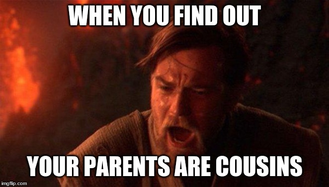 You Were The Chosen One (Star Wars) | WHEN YOU FIND OUT; YOUR PARENTS ARE COUSINS | image tagged in memes,you were the chosen one star wars | made w/ Imgflip meme maker