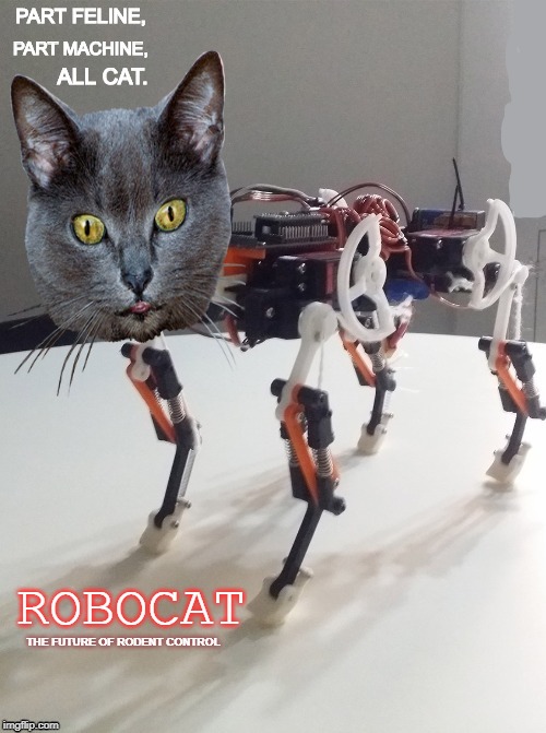 I want one! | PART FELINE, PART MACHINE, ALL CAT. ROBOCAT; THE FUTURE OF RODENT CONTROL | image tagged in robocat,robocop,cat,funny cats,cat memes,memes | made w/ Imgflip meme maker