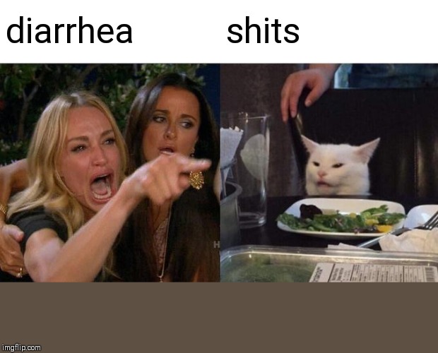 Woman Yelling At Cat Meme | diarrhea; shits | image tagged in memes,woman yelling at cat | made w/ Imgflip meme maker