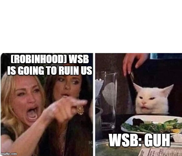 Lady screams at cat | (ROBINHOOD) WSB IS GOING TO RUIN US; WSB: GUH | image tagged in lady screams at cat | made w/ Imgflip meme maker