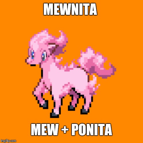 MEWNITA; MEW + PONITA | made w/ Imgflip meme maker
