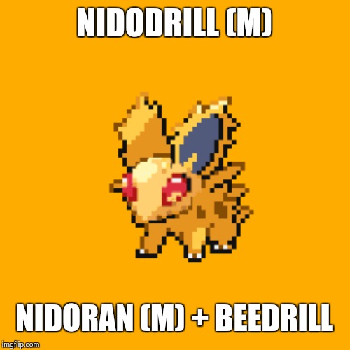NIDODRILL (M); NIDORAN (M) + BEEDRILL | made w/ Imgflip meme maker