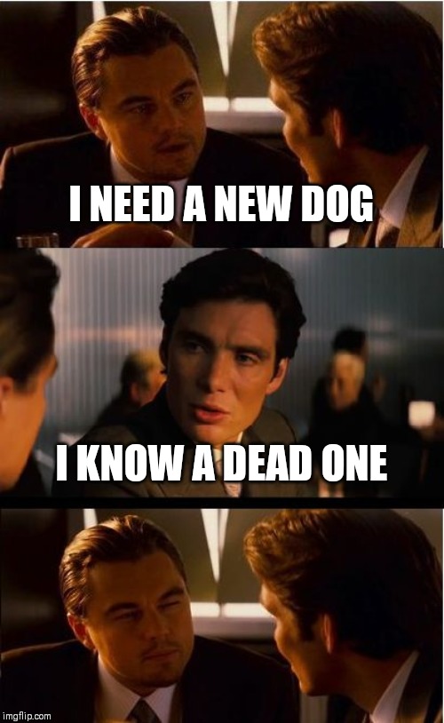 Inception | I NEED A NEW DOG; I KNOW A DEAD ONE | image tagged in memes,inception | made w/ Imgflip meme maker