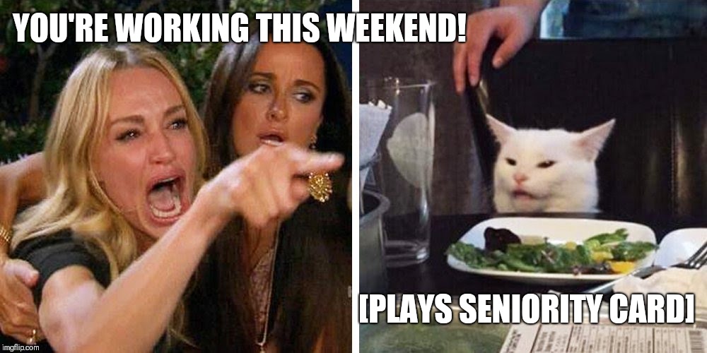 Smudge the cat | YOU'RE WORKING THIS WEEKEND! [PLAYS SENIORITY CARD] | image tagged in smudge the cat | made w/ Imgflip meme maker