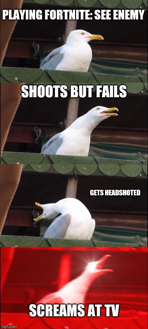 Inhaling Seagull Meme | PLAYING FORTNITE: SEE ENEMY; SHOOTS BUT FAILS; GETS HEADSHOTED; SCREAMS AT TV | image tagged in memes,inhaling seagull | made w/ Imgflip meme maker