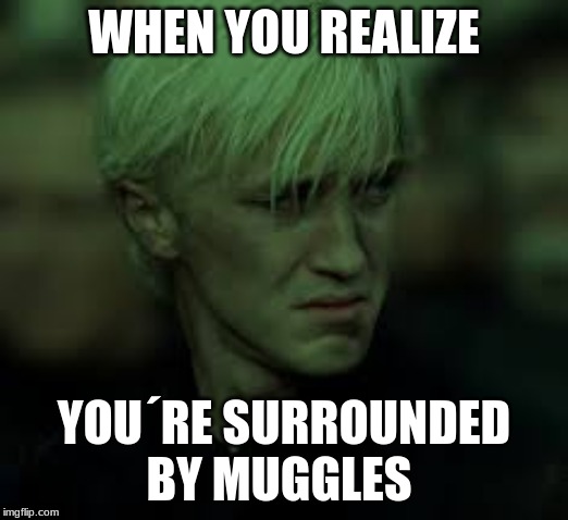Draco Sad | WHEN YOU REALIZE; YOU´RE SURROUNDED BY MUGGLES | image tagged in draco sad | made w/ Imgflip meme maker