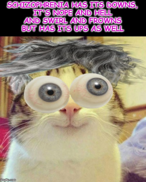 SCHIZOPHRENIA HAS ITS DOWNS,
IT'S NOPE AND HELL
AND SWIRL AND FROWNS
BUT HAS ITS UPS AS WELL | image tagged in memes,smiling cat | made w/ Imgflip meme maker