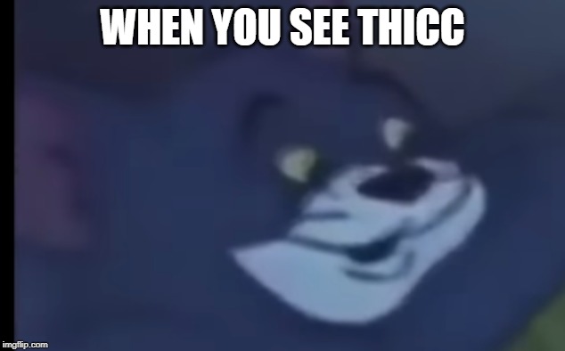 WHEN YOU SEE THICC | image tagged in tom and jerry,thicc | made w/ Imgflip meme maker