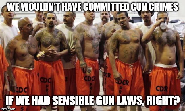 Prison | WE WOULDN'T HAVE COMMITTED GUN CRIMES; IF WE HAD SENSIBLE GUN LAWS, RIGHT? | image tagged in prison | made w/ Imgflip meme maker