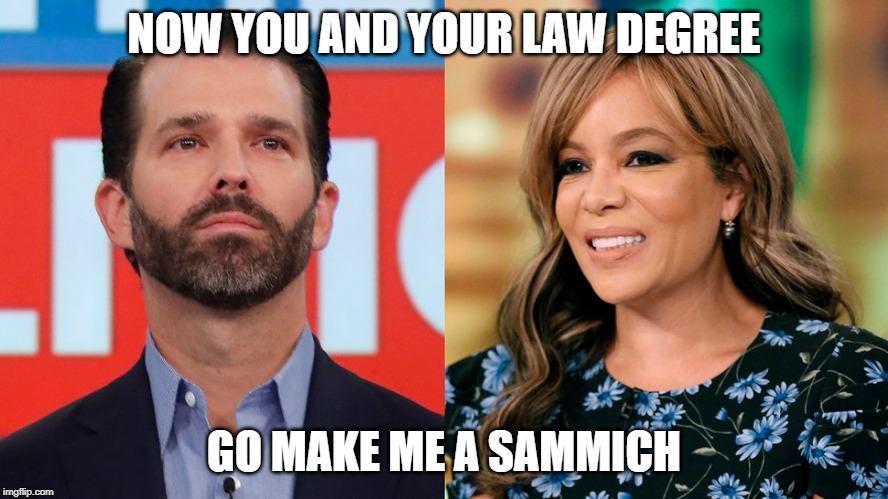 Trump Jr. | NOW YOU AND YOUR LAW DEGREE; GO MAKE ME A SAMMICH | image tagged in democrats,sunny hostin,the view,politics,donald trump jr,donald trump | made w/ Imgflip meme maker