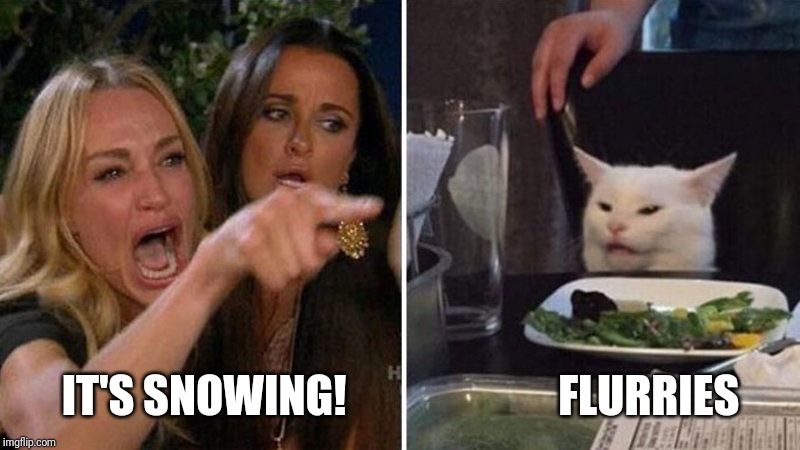IT'S SNOWING!                        FLURRIES | image tagged in snow,cats | made w/ Imgflip meme maker