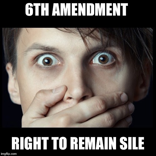 hand over mouth | 6TH AMENDMENT; RIGHT TO REMAIN SILENT | image tagged in hand over mouth | made w/ Imgflip meme maker