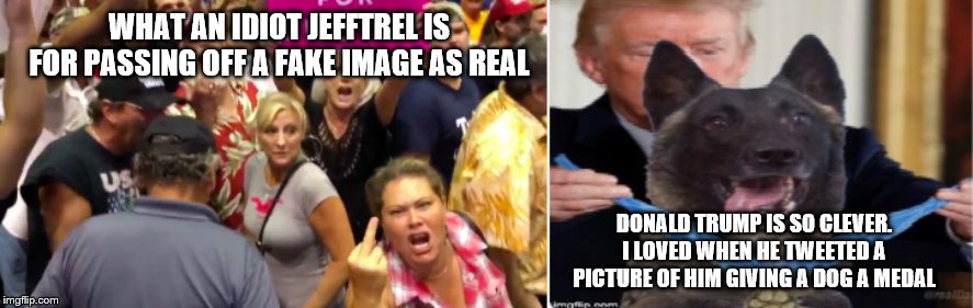 Trump hypocrisy | WHAT AN IDIOT JEFFTREL IS FOR PASSING OFF A FAKE IMAGE AS REAL; DONALD TRUMP IS SO CLEVER. I LOVED WHEN HE TWEETED A PICTURE OF HIM GIVING A DOG A MEDAL | image tagged in trump hypocrisy | made w/ Imgflip meme maker